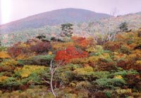 IR